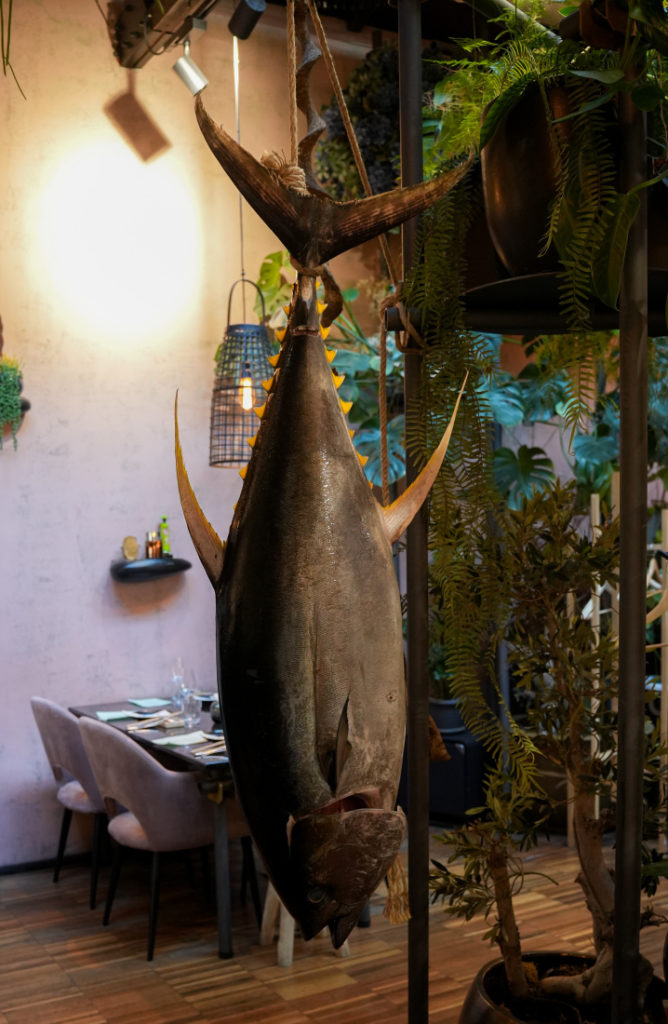Čtvrt tuny chuti a emocí: V restauraci PRU58 se popáté porcoval tuňák a chystá šesté pokračování